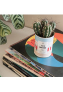 HELLO SUNSHINE Cactus